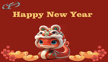 2025 Spring Festival Holiday Notice